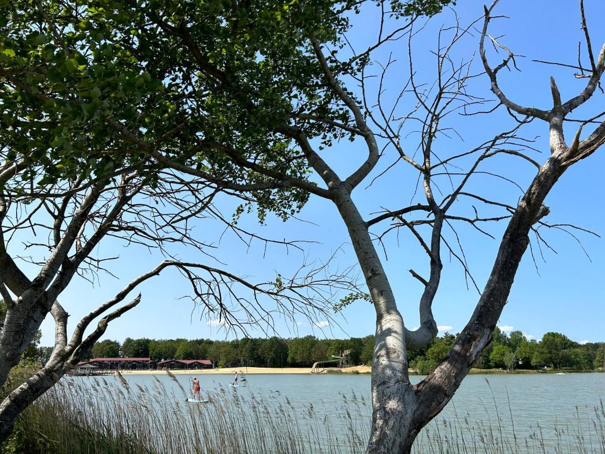 Drents Genieten - Kraaiheide Met Prive Jacuzzi Erm Exteriör bild
