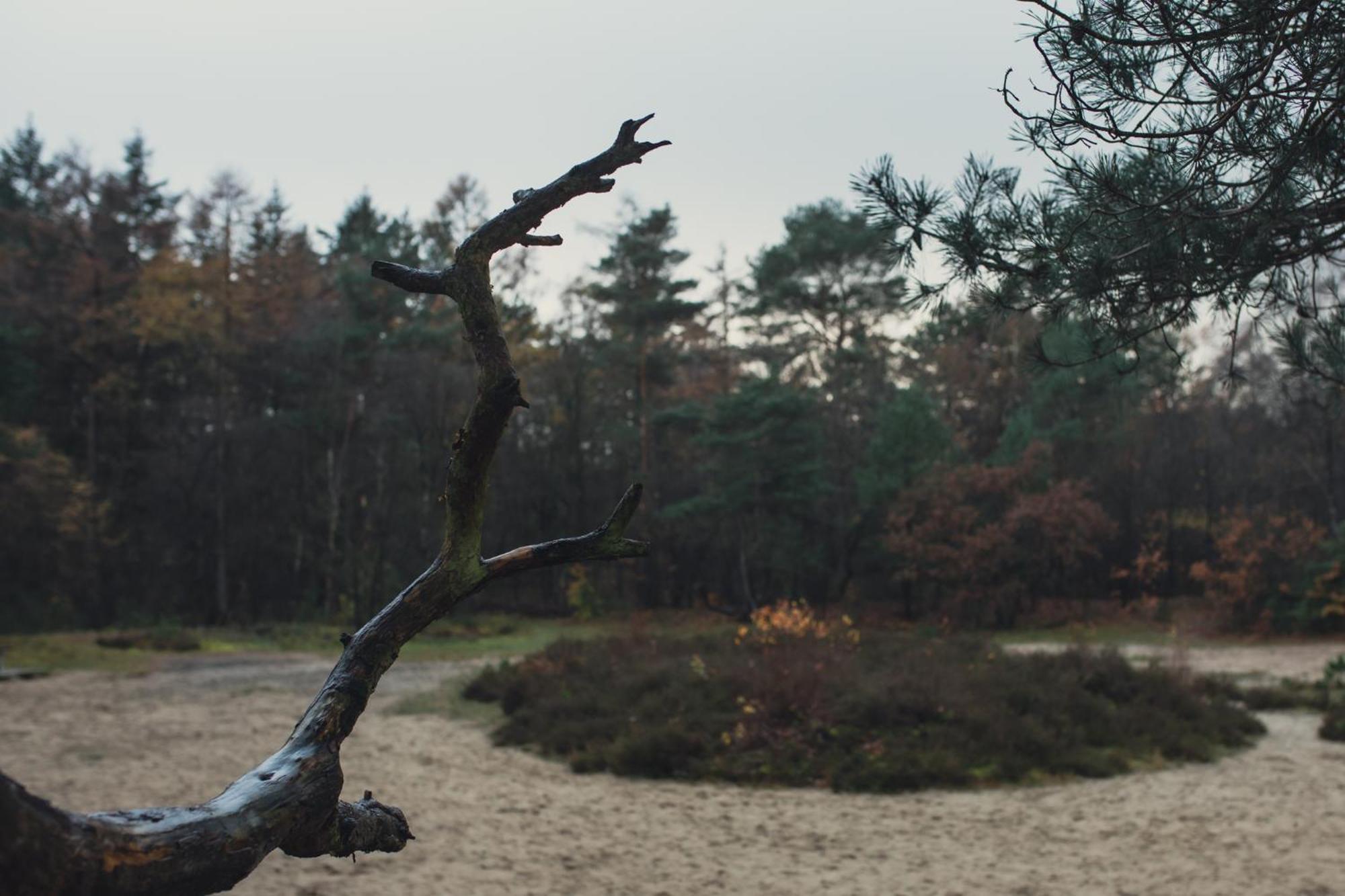 Drents Genieten - Kraaiheide Met Prive Jacuzzi Erm Exteriör bild